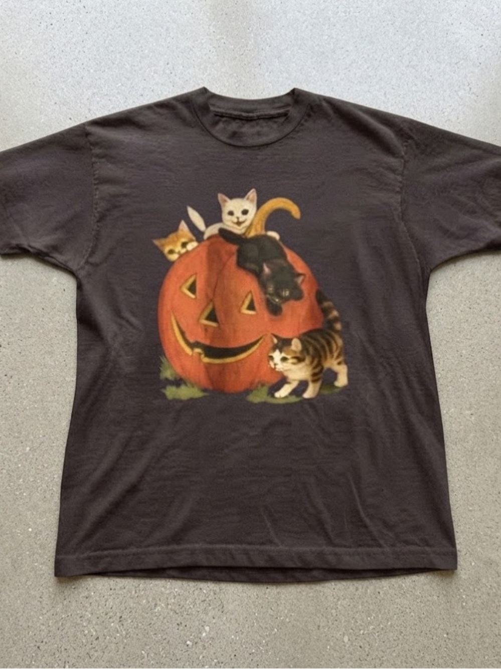 Gildan Black Tee with Pumpkin and Kittens Graphic
